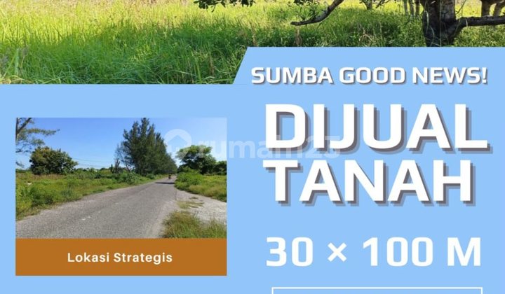 Land for Sale in Tambolaka Land for Sale in Tambolaka