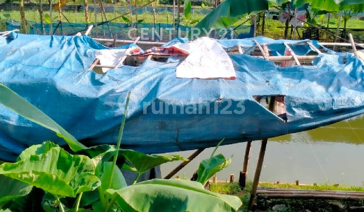 For Immediate Sale: A Small Simple House in Cipayung, East Jakarta 2