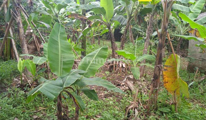 Dijual Tanah di Desa Cimanggis, Bogor 1