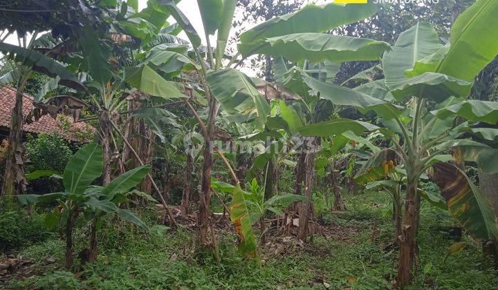Dijual Tanah di Desa Cimanggis, Bogor 2