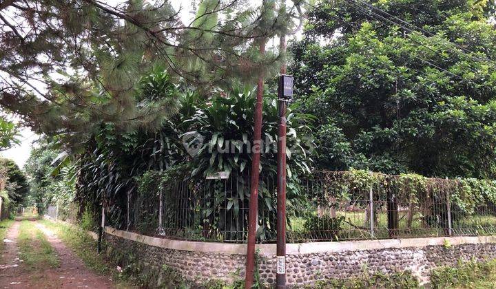 Rumah Ada Paviliun Tanah Luas di Bogor