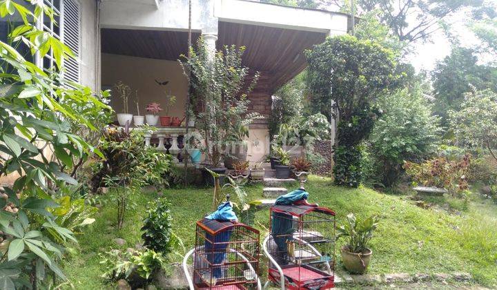 Tanah Luas di Kebagusan For Sale 4