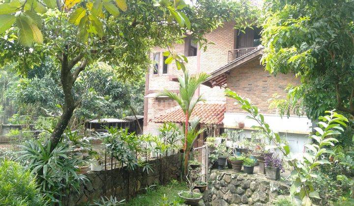 Tanah Luas di Kebagusan For Sale 6
