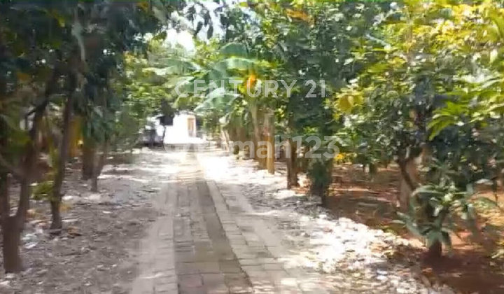 Di Jual Lahan Tanah Perorangan 4730M2 Jl Yosudarso Jakarta Utara Di Jual Lahan Tanah Perorangan 4730M2 Jl Yosudarso Jakarta Utara