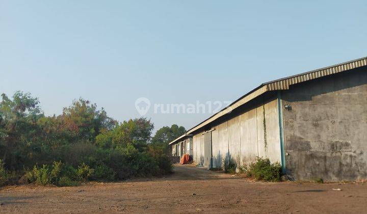 Tanah 3,8Hektar dengan Gudang di Rorotan SHM Murah 1