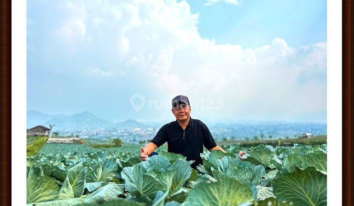 Investasi Tanah Kavling Puncak Murah Fasilitas Melimpah 2