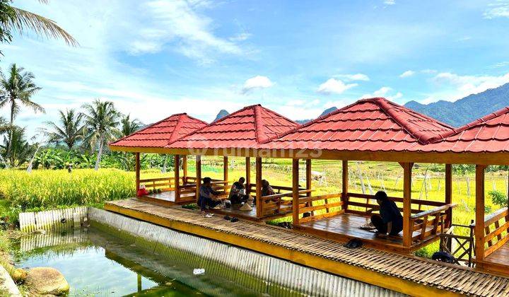 INVESTASI KAVLING SAWAH SYARIAH UNTUK HIDUP LEBIH BERKAH 1