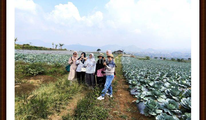 Kavling Cipanas Investasi Berkelas Investor Cerdas 2