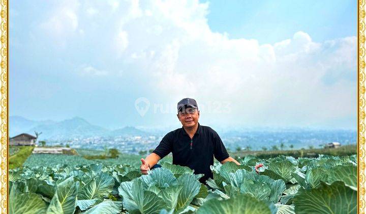 Tanah Murah Puncak Fasilitas Mewah Untung Berlimpah 2