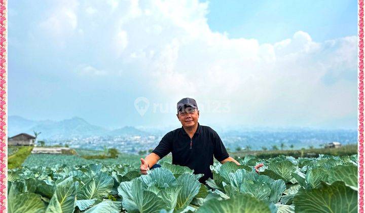 Jadi Juragan Kavling Puncak Raih Untung Berlipat Ganda 2