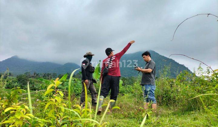 Investasi Istimewa Untuk Anda di Daerah Puncak Dua 5
