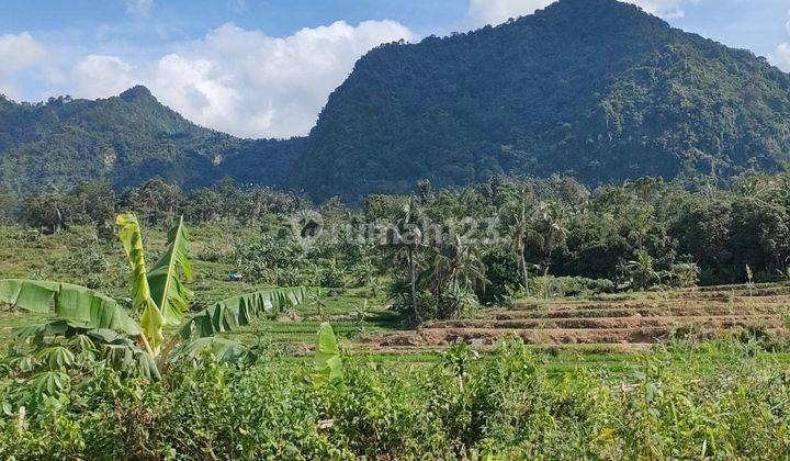 Investasi Istimewa Untuk Anda di Daerah Puncak Dua 8