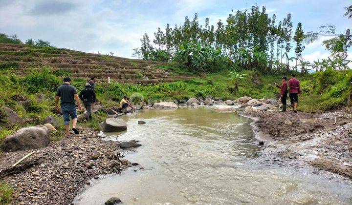 Tanah Murah Harga Istimewa di Kawasan Puncak Dua 1