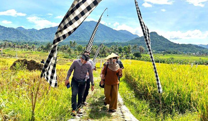 INVESTASI KAVLING SAWAH IDAMAN WUJUDKAN KETAHANAN PANGAN 1