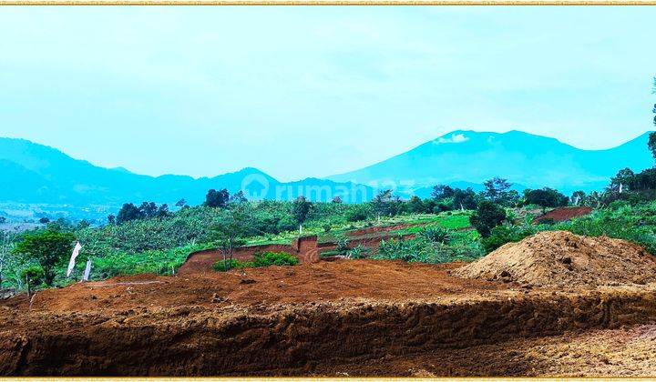 Tanah Murah Puncak Fasilitas Mewah Untung Berlimpah 1