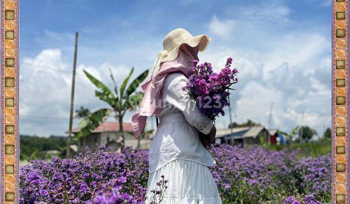 Tanah Murah Wisata Investasi Untuk Masa Depan Bahagia 1