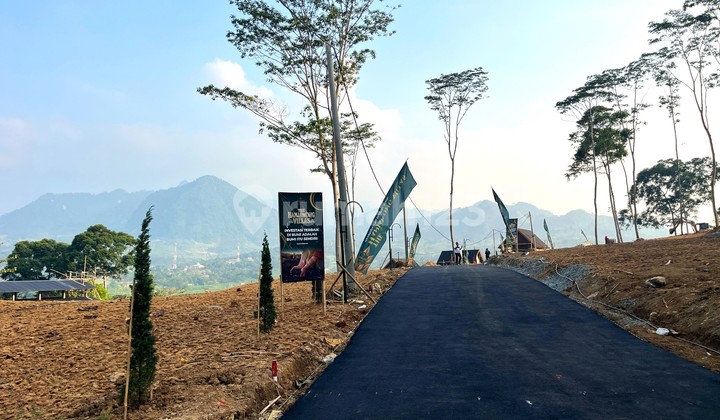 Waiting Too Long, Could Lose the Opportunity