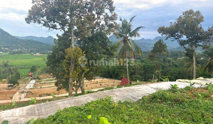 PELUANG BISNIS TANAH MURAH AREA WISATA INVESTASI ISTIMEWA 1