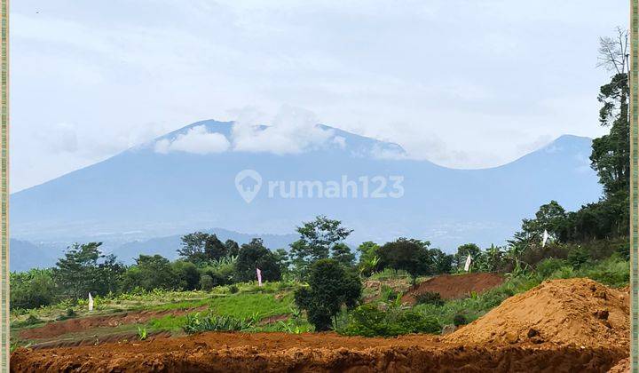 Tanah Puncak Cipanas Investasi Berkelas Investor Cerdas 1