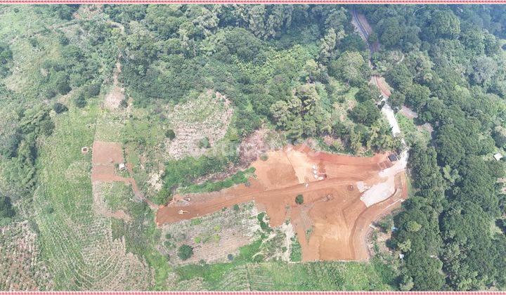 Jadi Juragan Kavling Puncak Raih Untung Berlipat Ganda 1