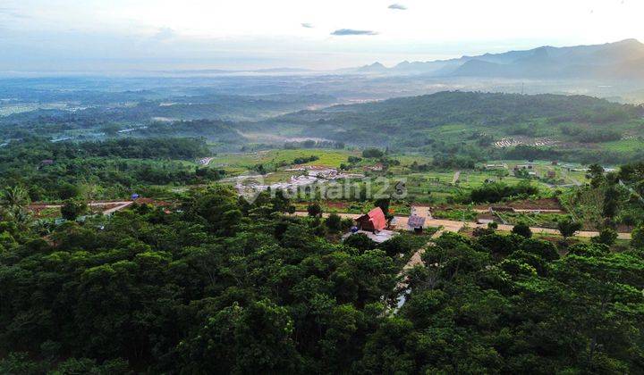 Peluang Investasi Kavling Di Bogor Untuk Restoran 2