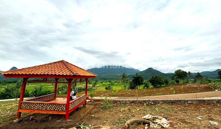GURIHNYA INVESTASI KAVLING DURIAN RAIH BANYAK KEUNTUNGAN 1