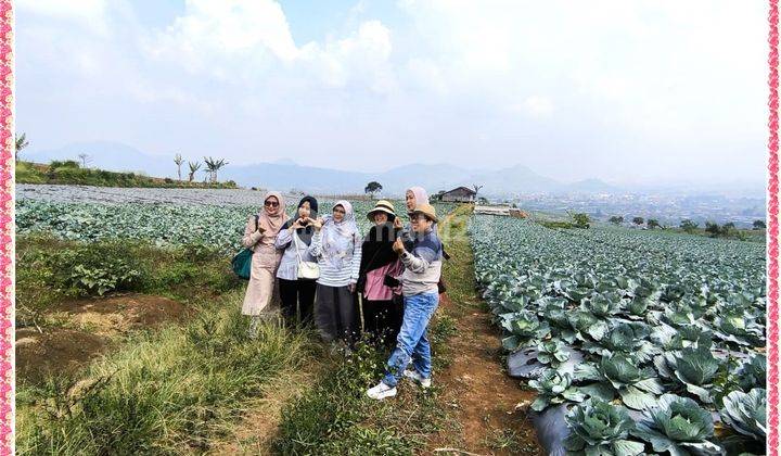 Tanah Murah View Pegunungan Fasilitas Menawan 2