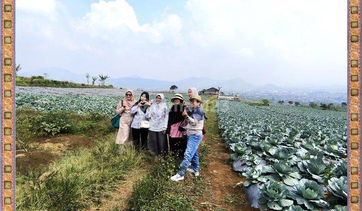 Tanah Murah Puncak Kavling Estetis Lokasi Strategis 2