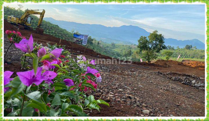 Tanah Murah Puncak Investasi Pilihan Untuk Masa Depan 1