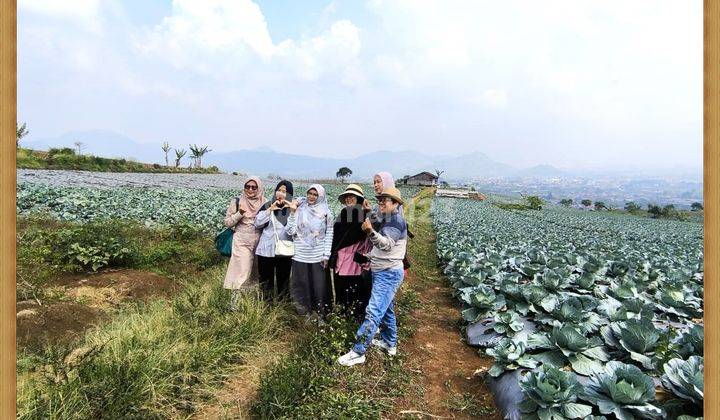 Tanah Murah Cipanas Investasi Tepat Profit Meningkat 2