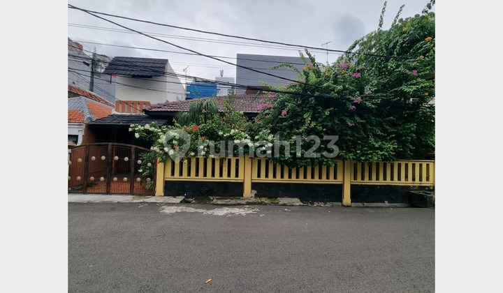 Rumah Hitung Tanah Ukuran 216M2 di Tomang Grogol Petamburan Pulo Macan Rumah Hitung Tanah Ukuran 216M2 di Tomang Grogol Petamburan Pulo Macan