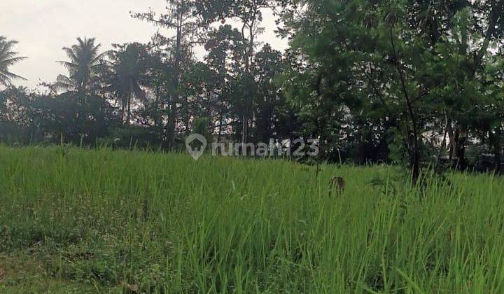 Dijual Murah Tanah Kavling di Jl Raya Petir Komplek Taman Pipitan Indah, Serang 1