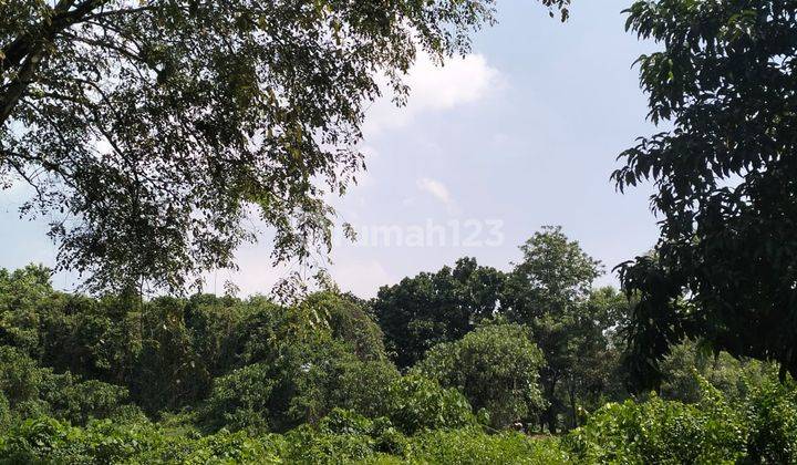 Dijual Cepat Kavling Siap Bangun di Modernland Tangerang 1