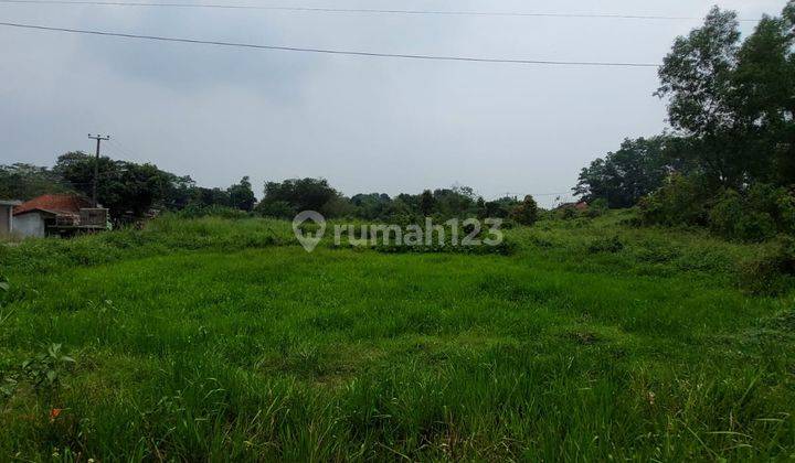 Tanah Pinggir Jalan Raya Tenjo Dekat Kota Podomoro Tangerang 1