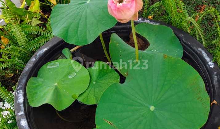 Disewakan Cepat Rumah Cendana Cove Lippo Karawaci Full Furnished Kamar 2 2