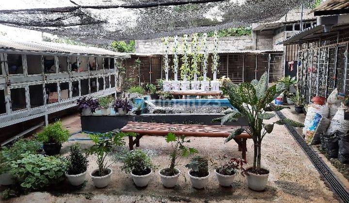 Dijual cepat Rumah Business 3