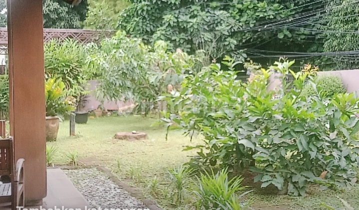 Adiyaksa Jalur Komersil