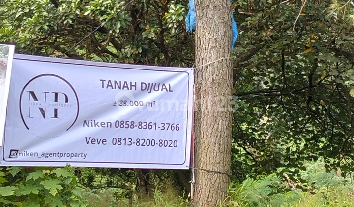 Sentul Cocok Untuk Villa/cafe/resto Area Wisata