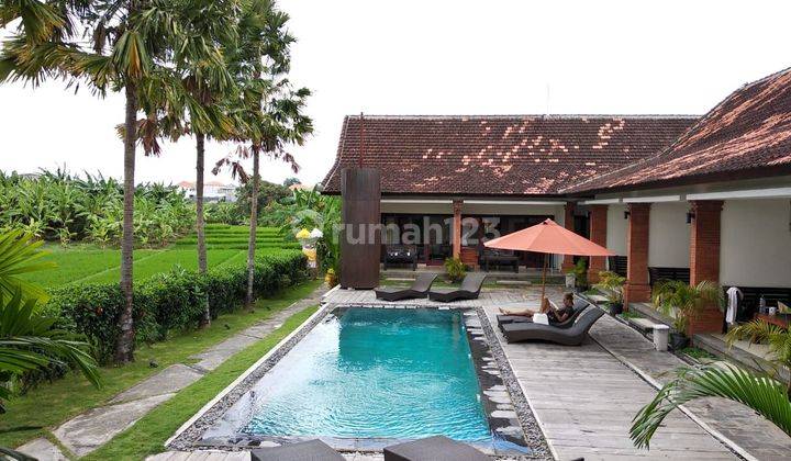 Spacious Vila for Sale in canggu  1