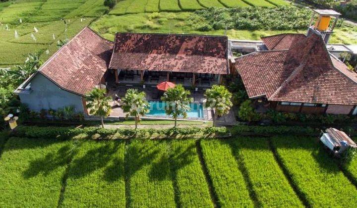 Spacious Vila for Sale in canggu  2