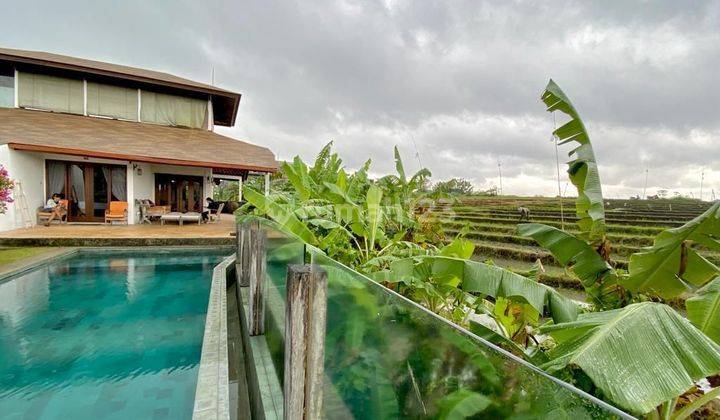 Beautiful  spacious Villa for lease in berawa Canggu 2