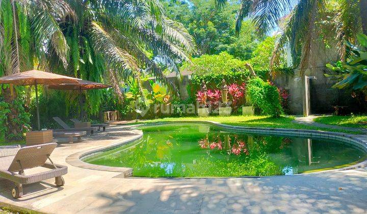 Di Jual Guest House Di Lodtunduh Ubud Gianyar 1