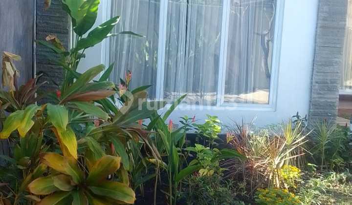 For Rent House With Pool And Garden In Sanur