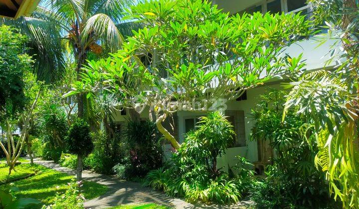 Di Jual Guest House Di Lodtunduh Ubud Gianyar 2