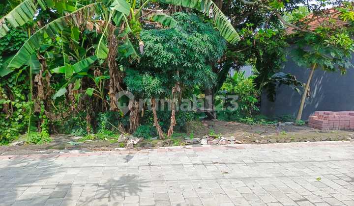 Dijual Tanah Harga Miring Lokasi Strategis Di Dalung Dijual Tanah Harga Miring Lokasi Strategis Di Dalung