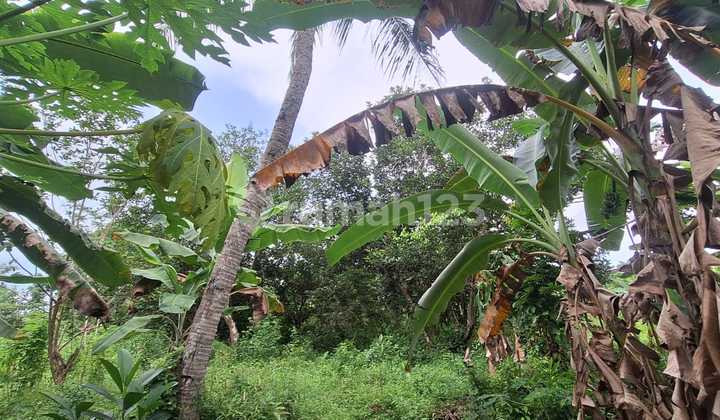 LAND FOR SALE FOR WAREHOUSE/FACTORY IN CIWIRU VILLAGE, WALANTAKA, SERANG CITY