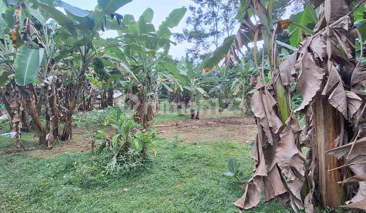 LAND FOR SALE FOR WAREHOUSE/FACTORY IN CIWIRU VILLAGE, WALANTAKA, SERANG CITY