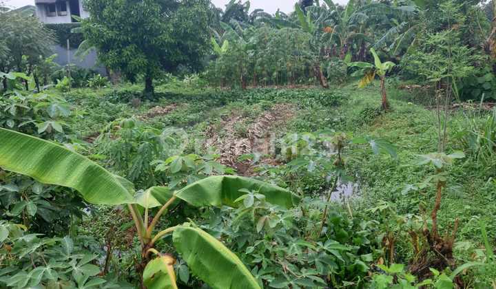 FOR SALE LAND PLOT PONDOK AREN 1000M2 NEAR BINTARO JAYA