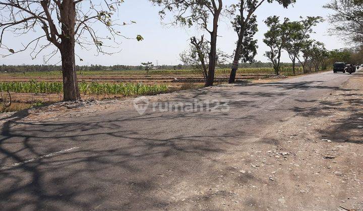 Tanah Murah Kulon Progo SHM Ready Siap Ajb 1 Jutaan M 6