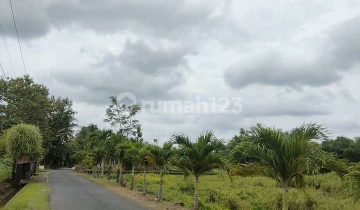 Tanah Kavling Prospektif di Godean - Cocok Investasi Jangka Panjang